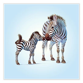 Poster  Zebra &amp; Foal - John Butler