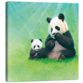 Canvastavla  Panda, baby and bamboo - John Butler