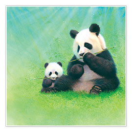 Poster  Panda, baby and bamboo - John Butler
