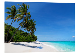 Akrylglastavla  Deserted palm beach, Maldives - Martin Child