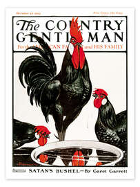 Poster  Country Gentleman (taps) - Remsberg