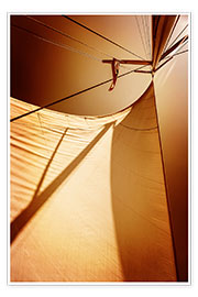 Poster Sails in sunset light