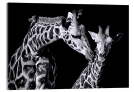 Akrylglastavla  Mother and child giraffe - Sabine Wagner