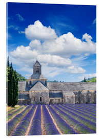 Akrylglastavla  Sénanque abbey med lavendelfält, Provence, Frankrike