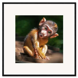 Inramat konsttryck  Baby Monkey - Photoplace Creative