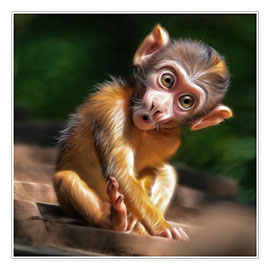 Poster  Baby Monkey - Photoplace Creative