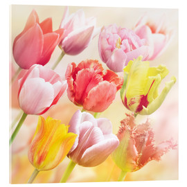 Akrylglastavla  Various tulips