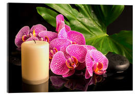 Akrylglastavla  Zen still life with orchids