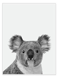 Poster  Koalaty control I - Finlay and Noa