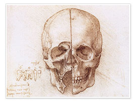 Poster  Kranium - Leonardo da Vinci