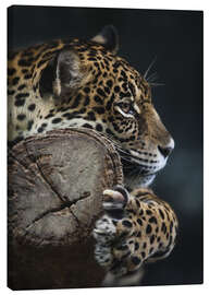 Canvastavla  Vilande leopard