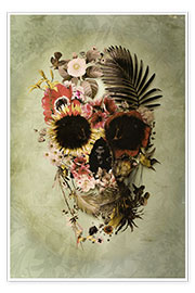 Poster  Garden Skull Light - Ali Gulec