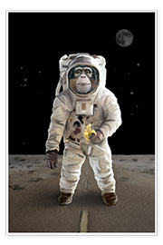 Poster  Spacemonkey - Achim Szabo