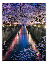 Poster  Nakameguro sakura festival in Tokyo, Japan - Jan Christopher Becke