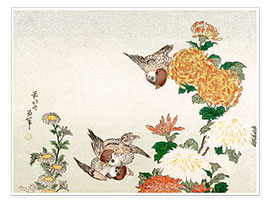 Poster  Sparrows and Chrysanthemums - Katsushika Hokusai