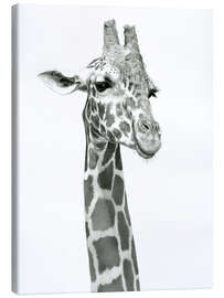 Canvastavla  Sketch Of A Smiling Giraffe - Ashley Verkamp