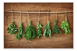 Poster Herbs
