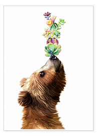 Poster  Succulent Bear - MiaMia