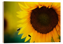 Trätavla  Two bees in sunflower