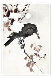 Poster Crow and Cherry Blossoms