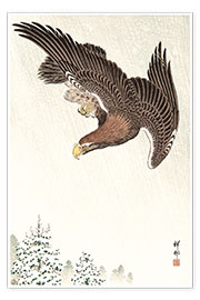 Poster  Eagle in Flight - Ohara Koson