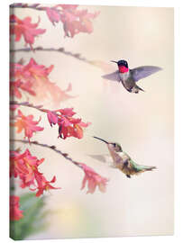 Canvastavla  Hummingbirds and flowers