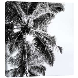 Canvastavla  Palmer på en tropisk strand