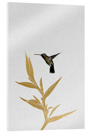 Akrylglastavla  Kolibri & blomma II - Orara Studio