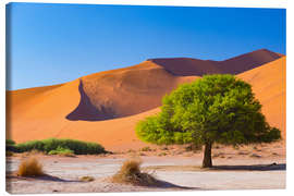 Canvastavla  Sand dunes and Acacia trees at Sossusvlei, Namib desert, Namibia - Fabio Lamanna