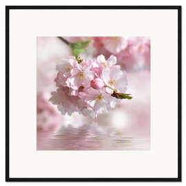Inramat konsttryck  cherry blossom - Atteloi