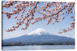 Canvastavla  Mountain Fuji and cherry blossom at lake Kawaguchiko, Japan - Jan Christopher Becke
