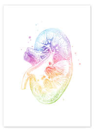 Poster  Regnbåge njure - Mod Pop Deco