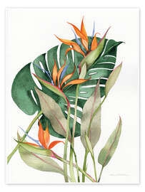 Poster Botaniska papegojblommor