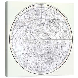 Canvastavla  Southern Celestial Hemisphere - Alexander Jamieson