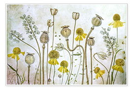 Poster  Poppy and Helenium - Mandy Disher