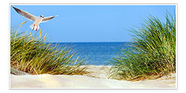 Poster Sand dune, Baltic Sea