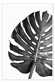 Poster  Black Monstera 03 - Art Couture