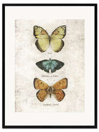 Inramat konsttryck  Butterflies V - Mike Koubou