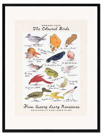Inramat konsttryck  The Coloured Birds Compilation (From Queery Leary Nonesense) - Edward Lear